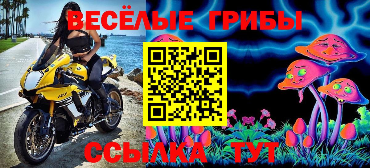 Галлюциногенные грибы MAGIC MUSHROOMS  Нефтекумск 