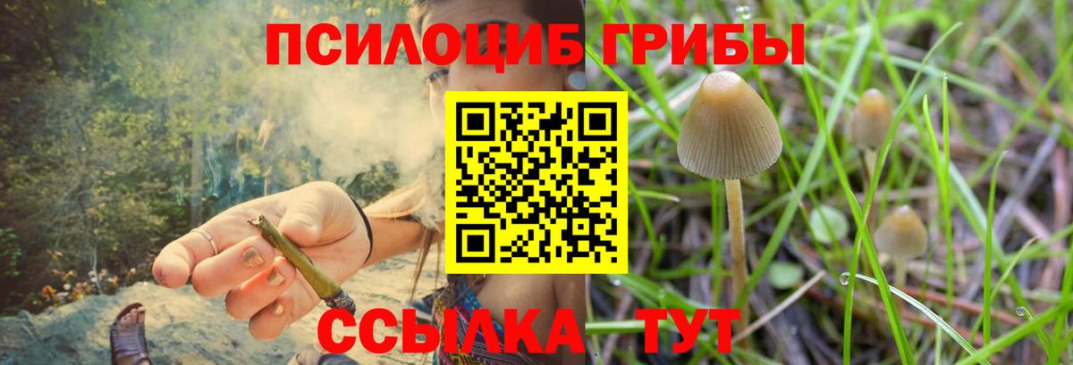 Галлюциногенные грибы Magic Shrooms Нефтекумск
