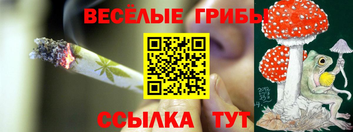 Галлюциногенные грибы мицелий  купить наркоту  Вход с VPN  Нефтекумск  Галлюциногенные грибы мицелий 