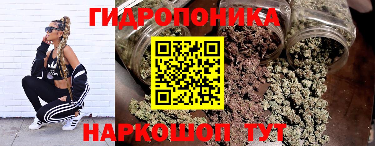 Каннабис семена  Нефтекумск  Шишки марихуана THC 21%  Каннабис индика  МАРИХУАНА OG Kush 